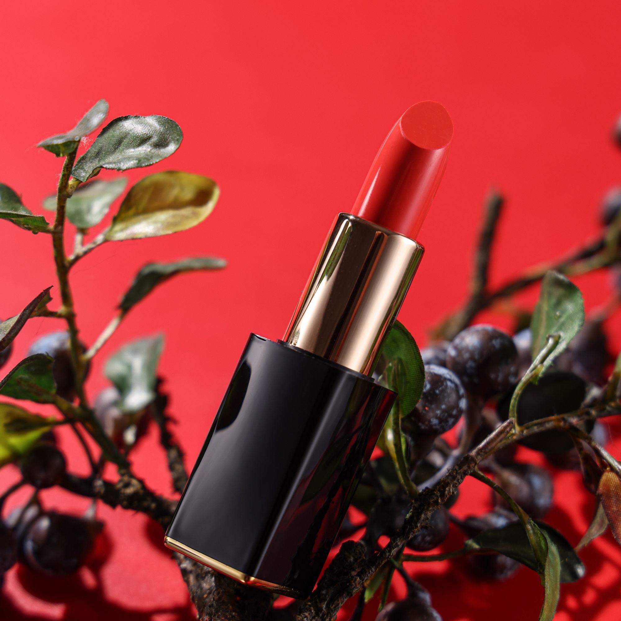 Slideshow-Guangzhou Dikou Cosmetics Co.,Ltd